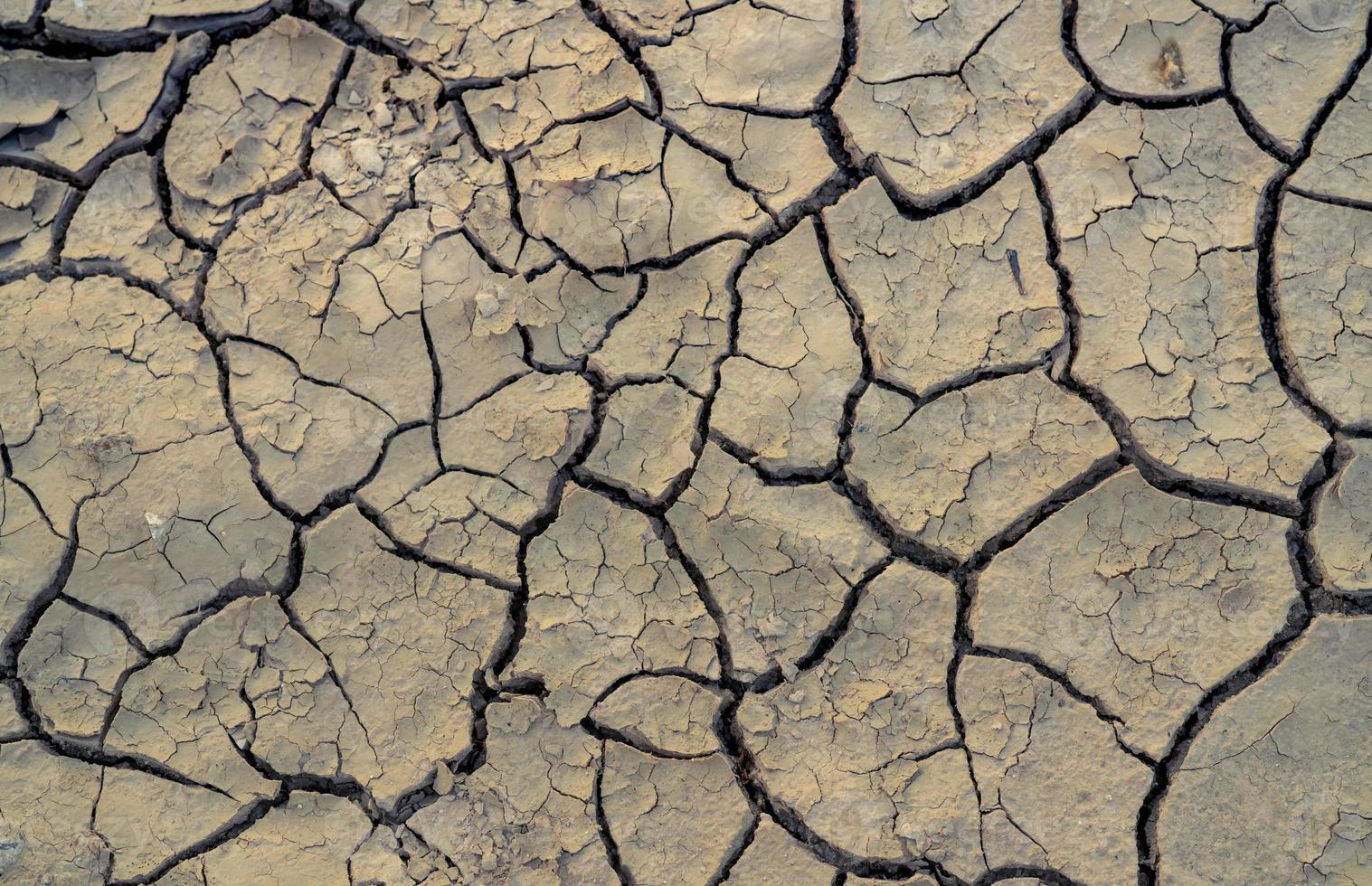 Climate change and drought land. Water crisis. Arid climate. Crack soil. Global warming. Environment problem. Nature disaster. Dry soil texture background. Dry and cracked skin need moisture concept. photo