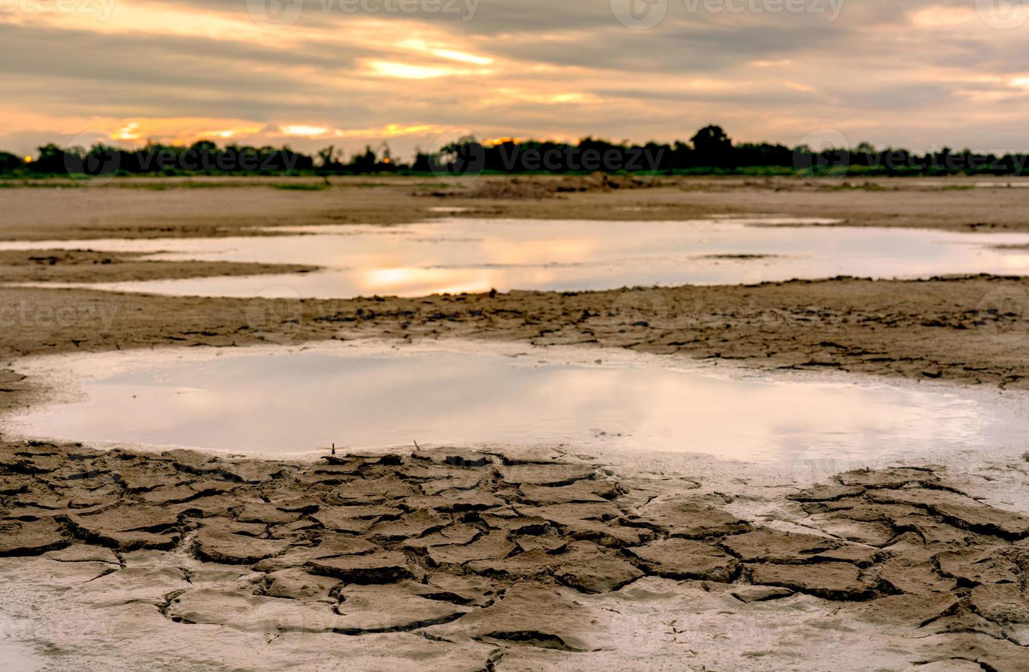 Climate change and drought land. Water crisis. Arid climate. Crack soil. Global warming. Environment problem. Nature disaster. Dry soil texture background. Nature lanscape in the morning with sunrise. photo