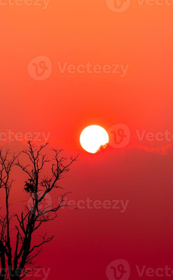 Beautiful silhouette dead tree and red sunset sky and clouds. Romantic and peaceful scene of big sun, and red sky at sunset time with beauty art pattern of branches. Tranquil nature. Beauty in nature. photo