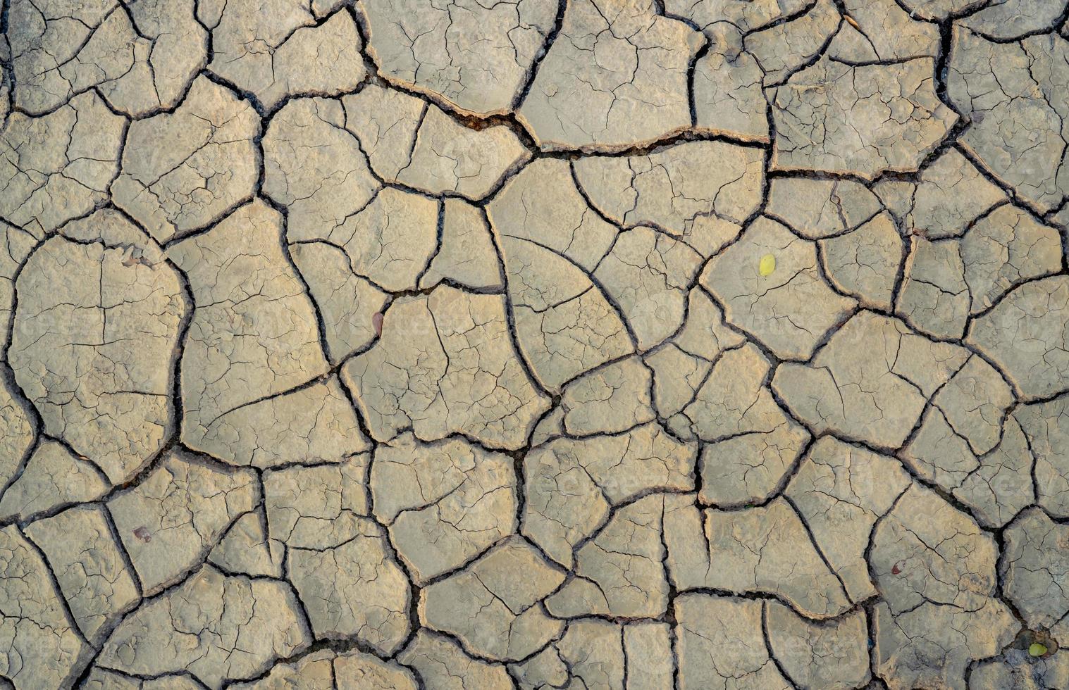 Climate change and drought land. Water crisis. Arid climate. Crack soil. Global warming. Environment problem. Nature disaster. Dry soil texture background. Dry and cracked skin need moisture concept. photo