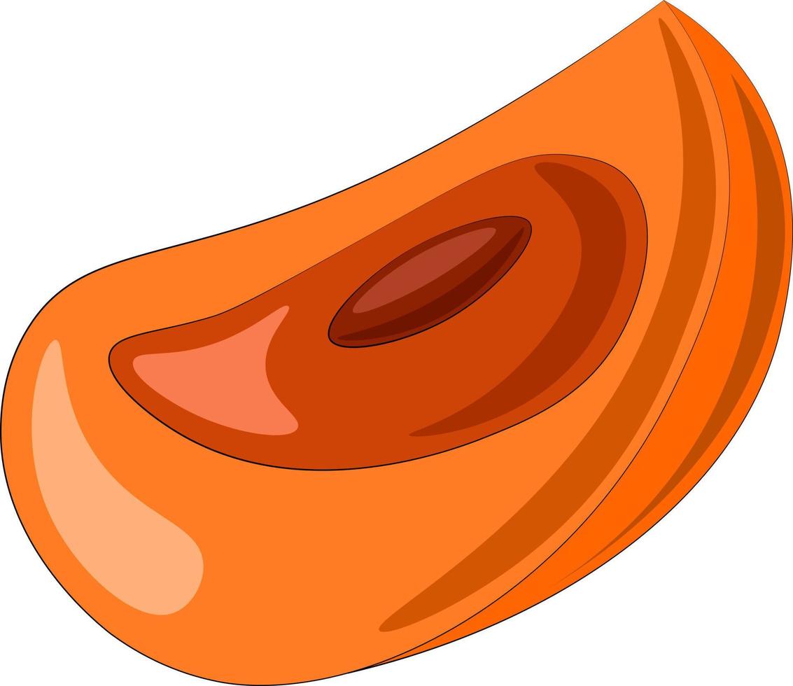 caqui asiático de una sola fruta dibujada en color vector