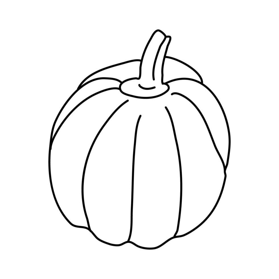 Pumpkin or squash in doodle style. Isolated outline. Hand drawn vector illustration in black ink on white background. Great for coloring books. Farming garden theme.