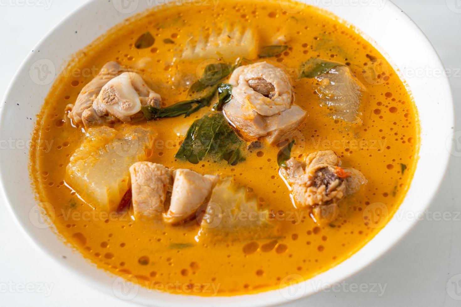 Chicken curry soup with roti photo
