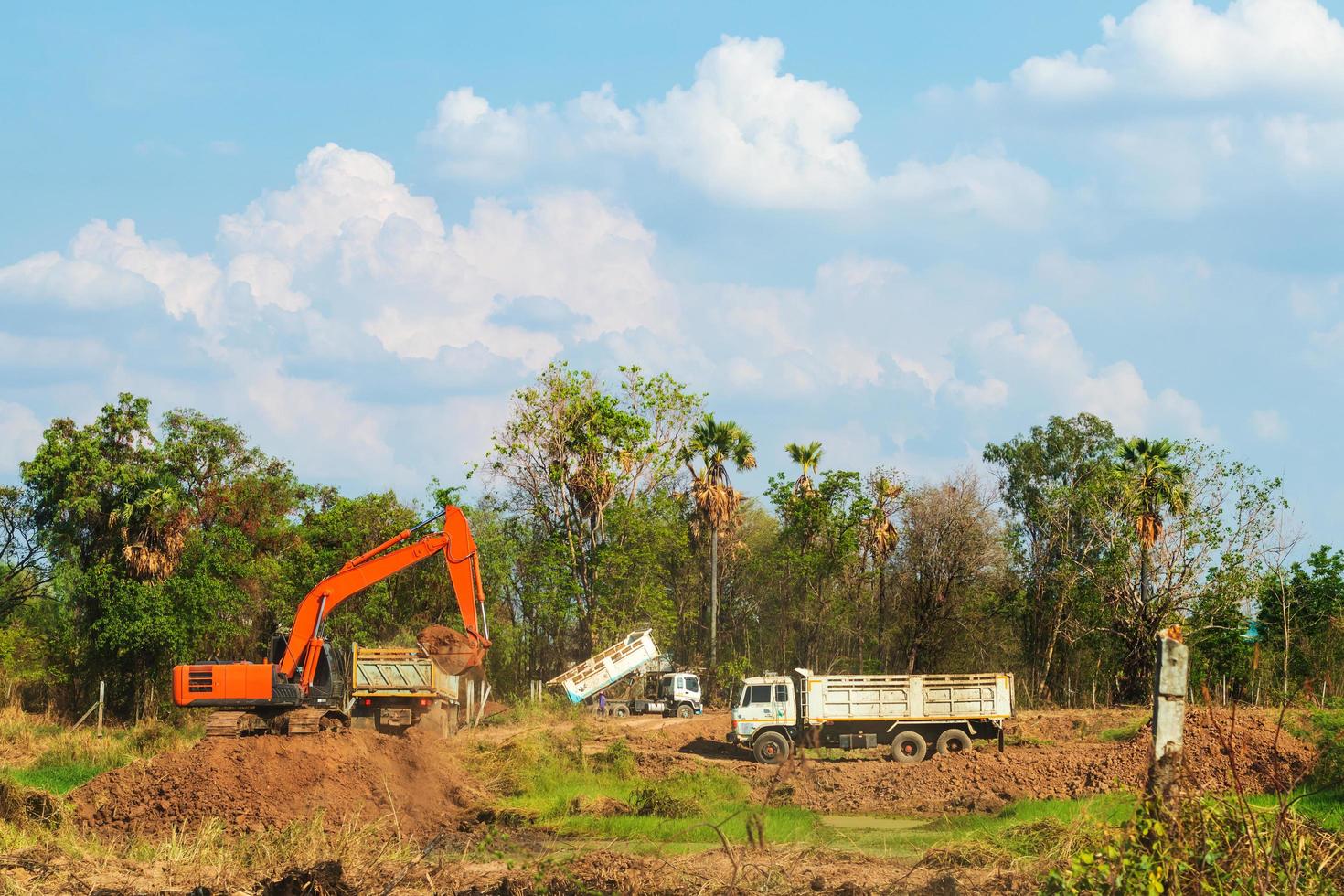 Backhoe dug to pour on a truck in the countryside. photo