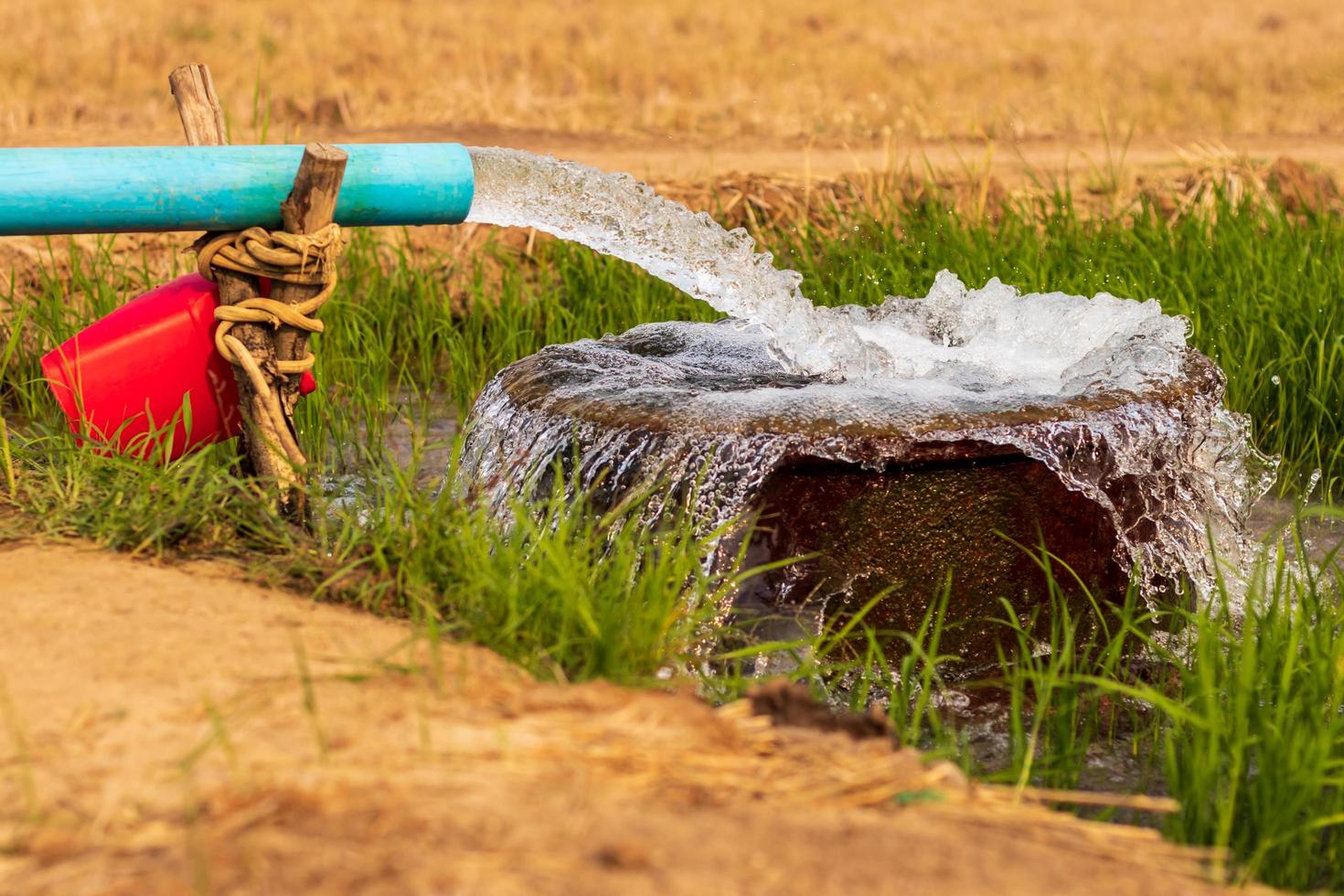 el agua fluye de las tuberías a una cuenca en los campos de arroz cerca del suelo árido. foto