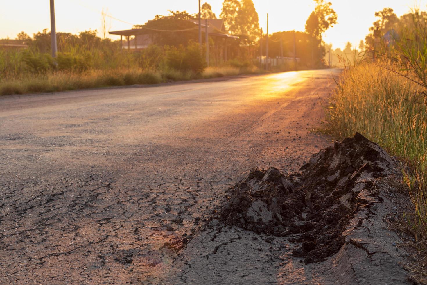 The side of the paved road was broken with early orange light. photo