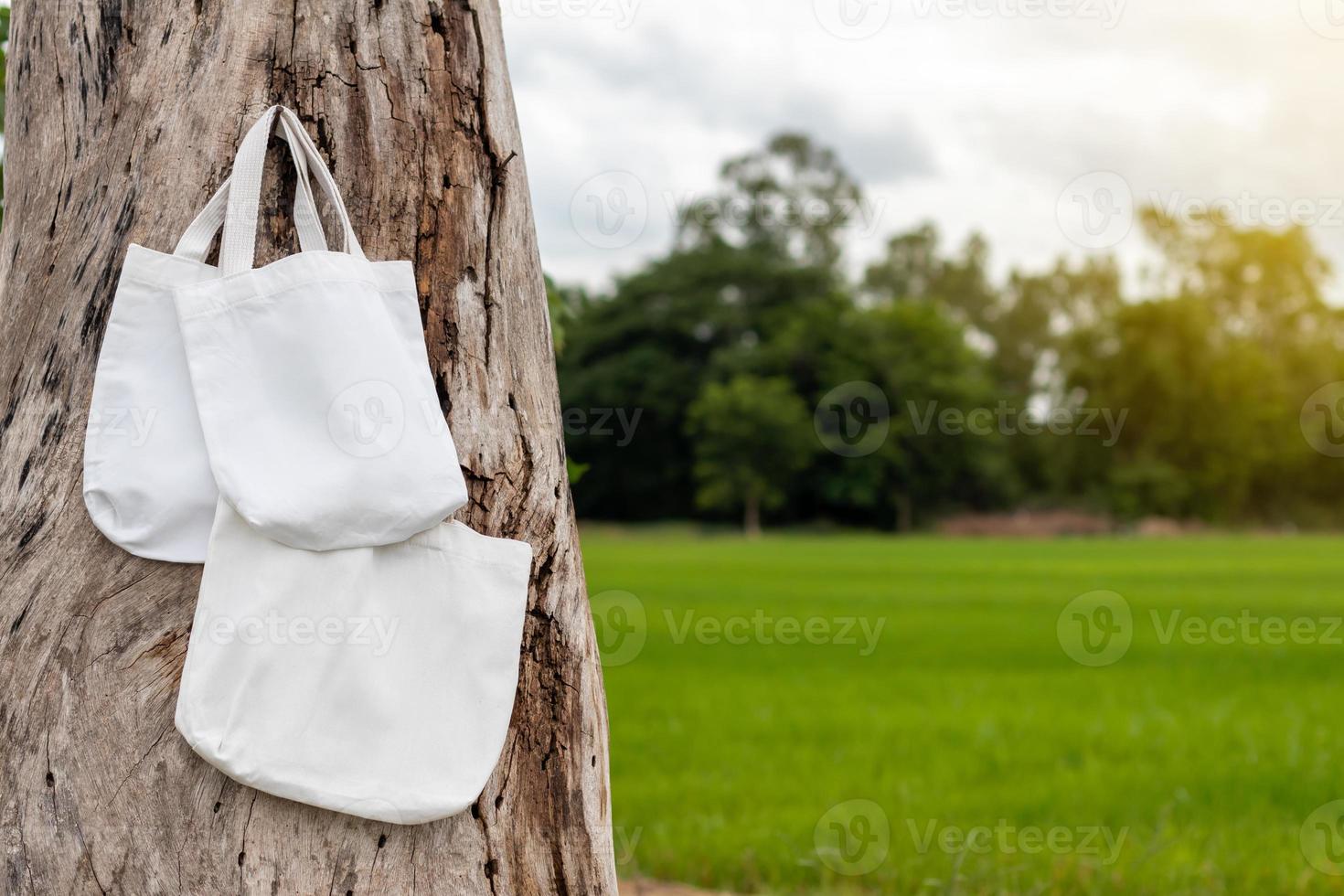 Many cloth bags hung with decaying stumps. photo