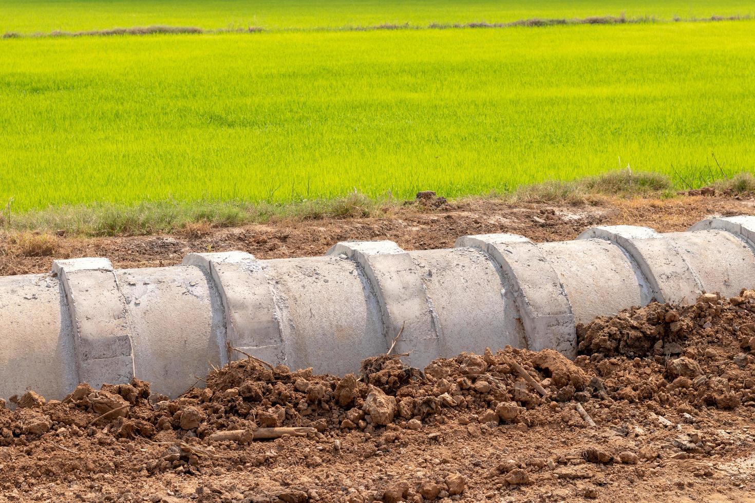 Concrete pipes stretching in the ground near the green rice fields. photo