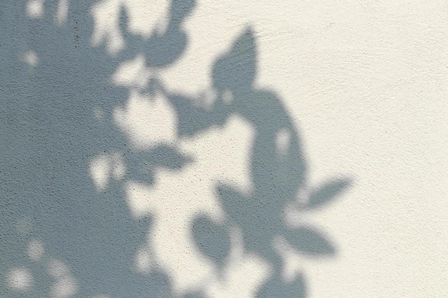 Shadows of many leaves on a white concrete wall. photo