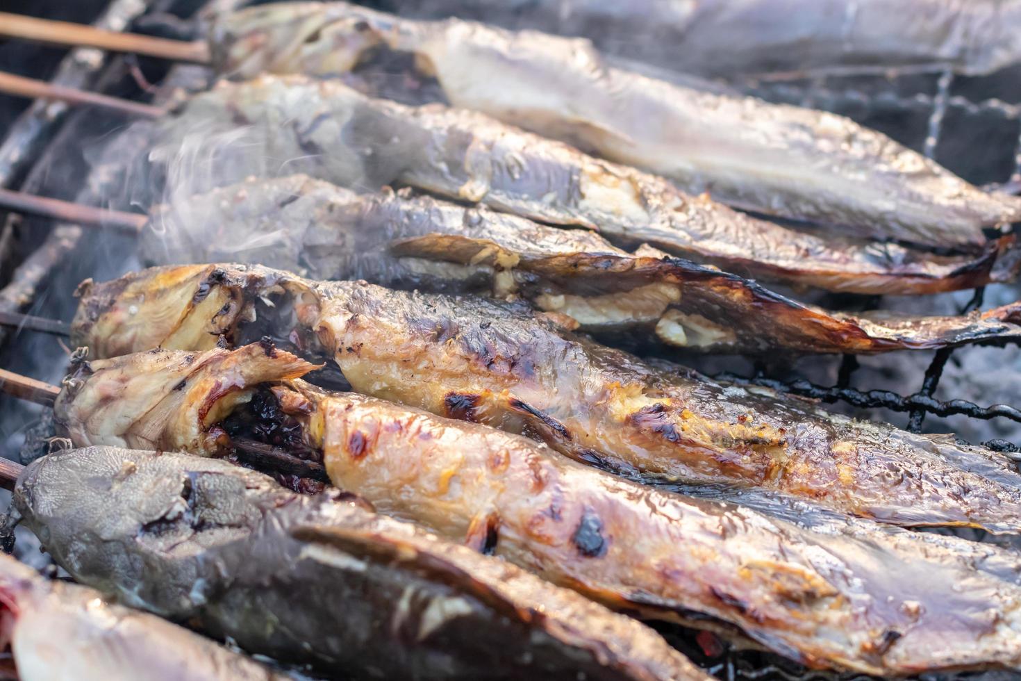 Catfish grilled on a charcoal stove. 7674792 Stock Photo at Vecteezy