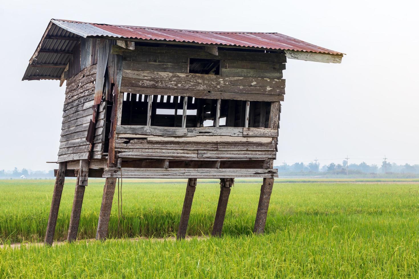 Close to old wooden huts in the rice fields. photo