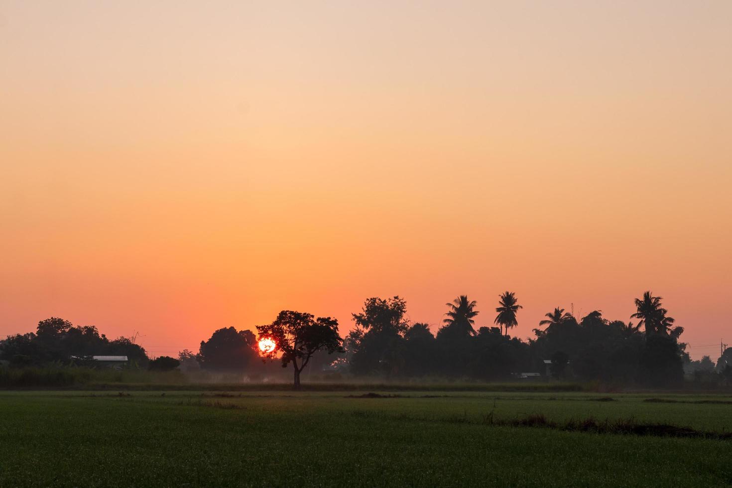 The morning sun rises in the Thai countryside. photo