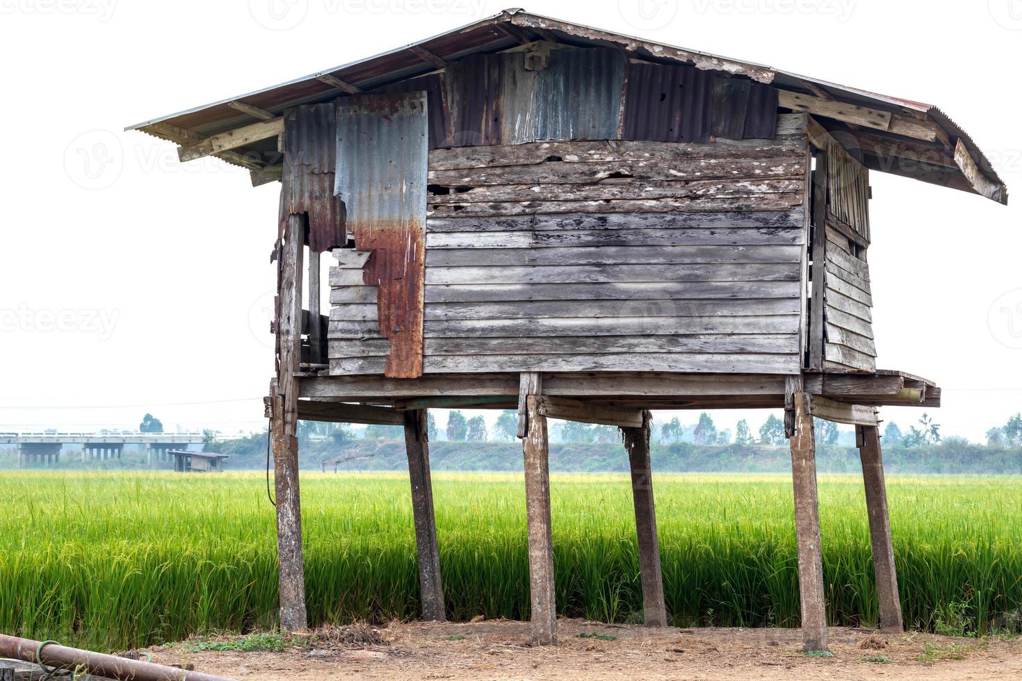 Close to old wooden huts in the rice fields. photo