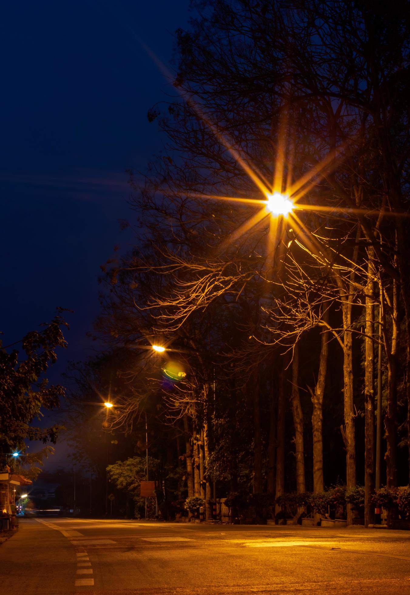 Light many lamps and trees on the dark road.. 7675443 Stock Photo at