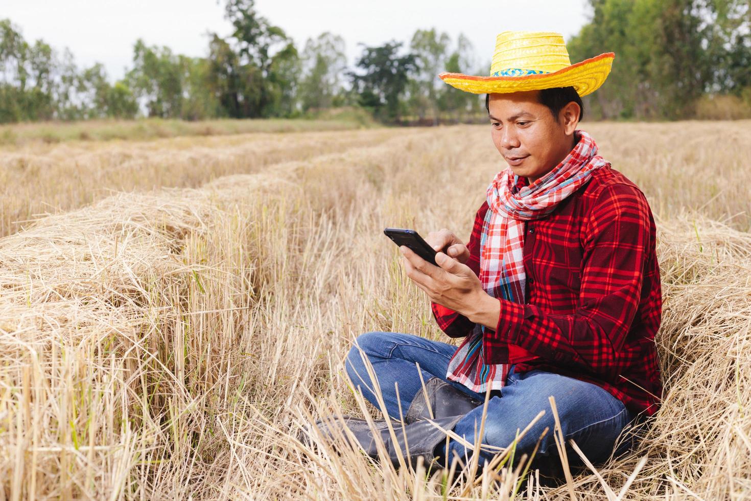 Asian farmer with rice stubble in the field photo