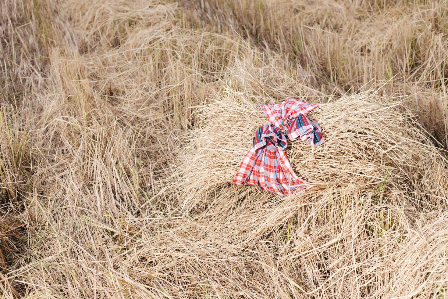 Asian farmer with rice stubble in the field photo