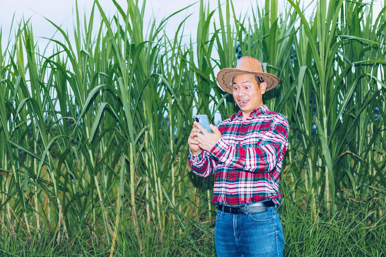 An Asian farmer in a plaid shirt stands in a field. photo