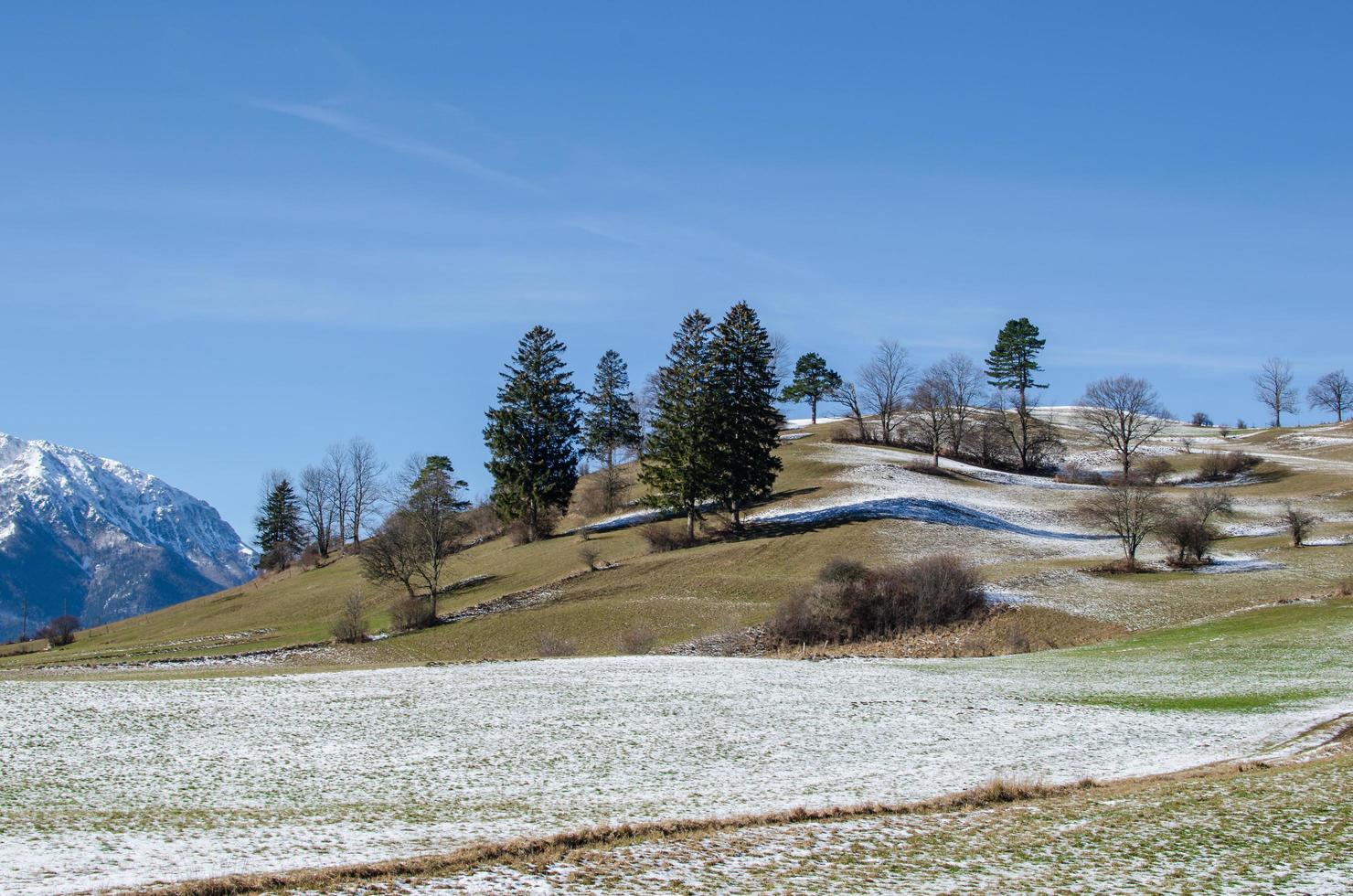 hill landscape and trees photo