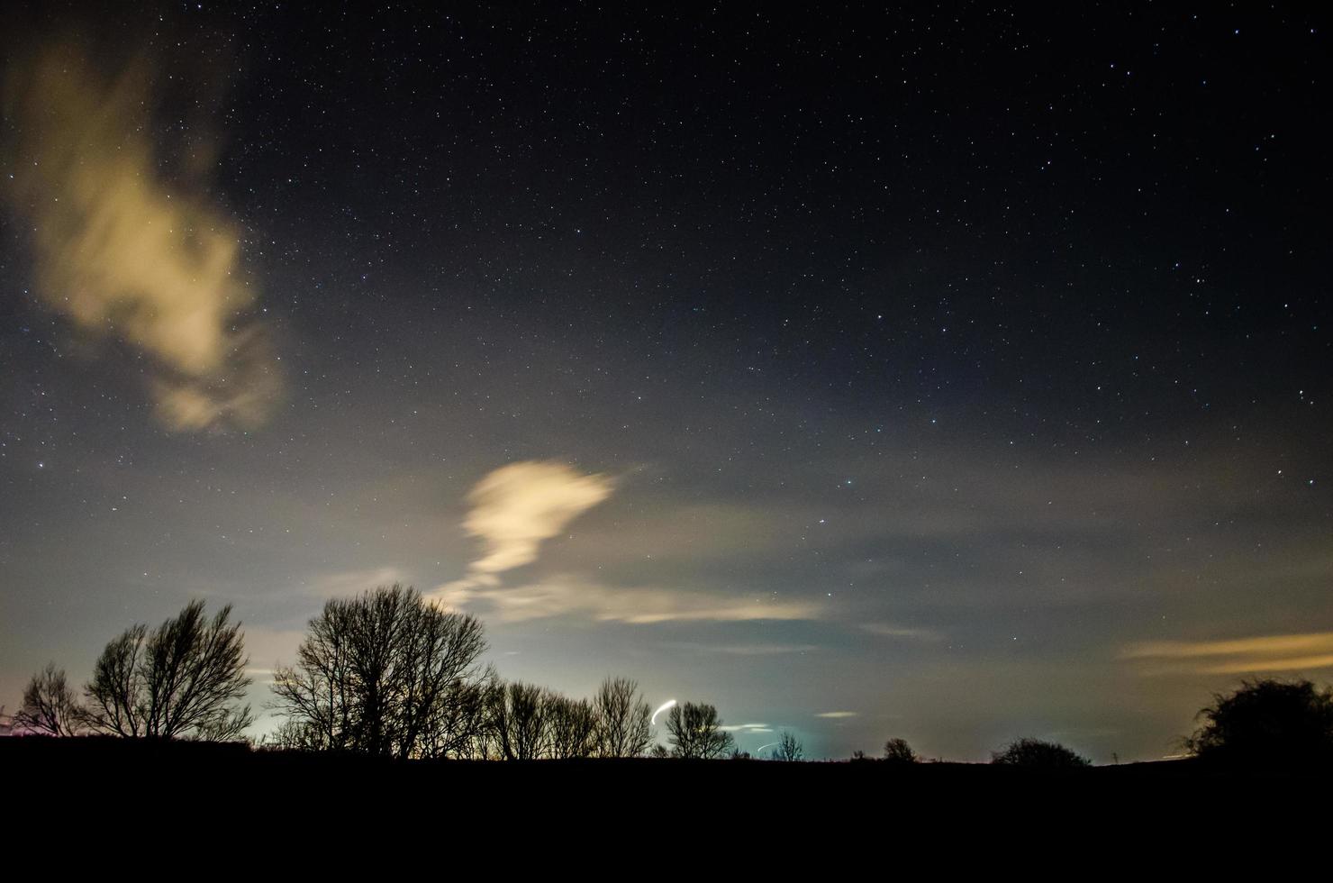 landscape with trees and stars photo