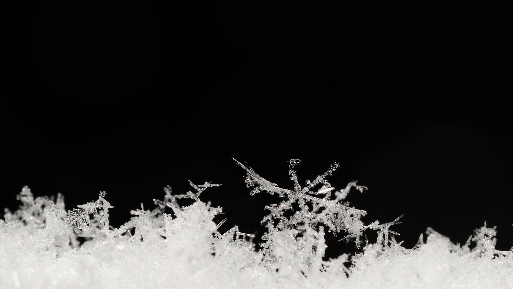 long delicate snow crystals panorama photo