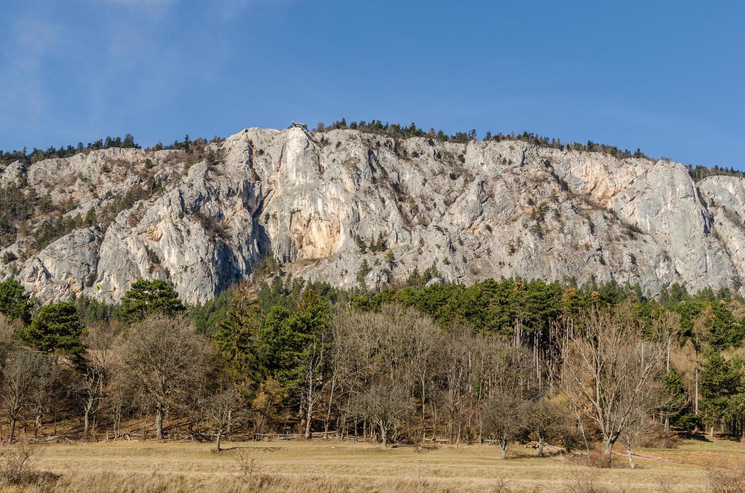 pared de roca con bosque foto