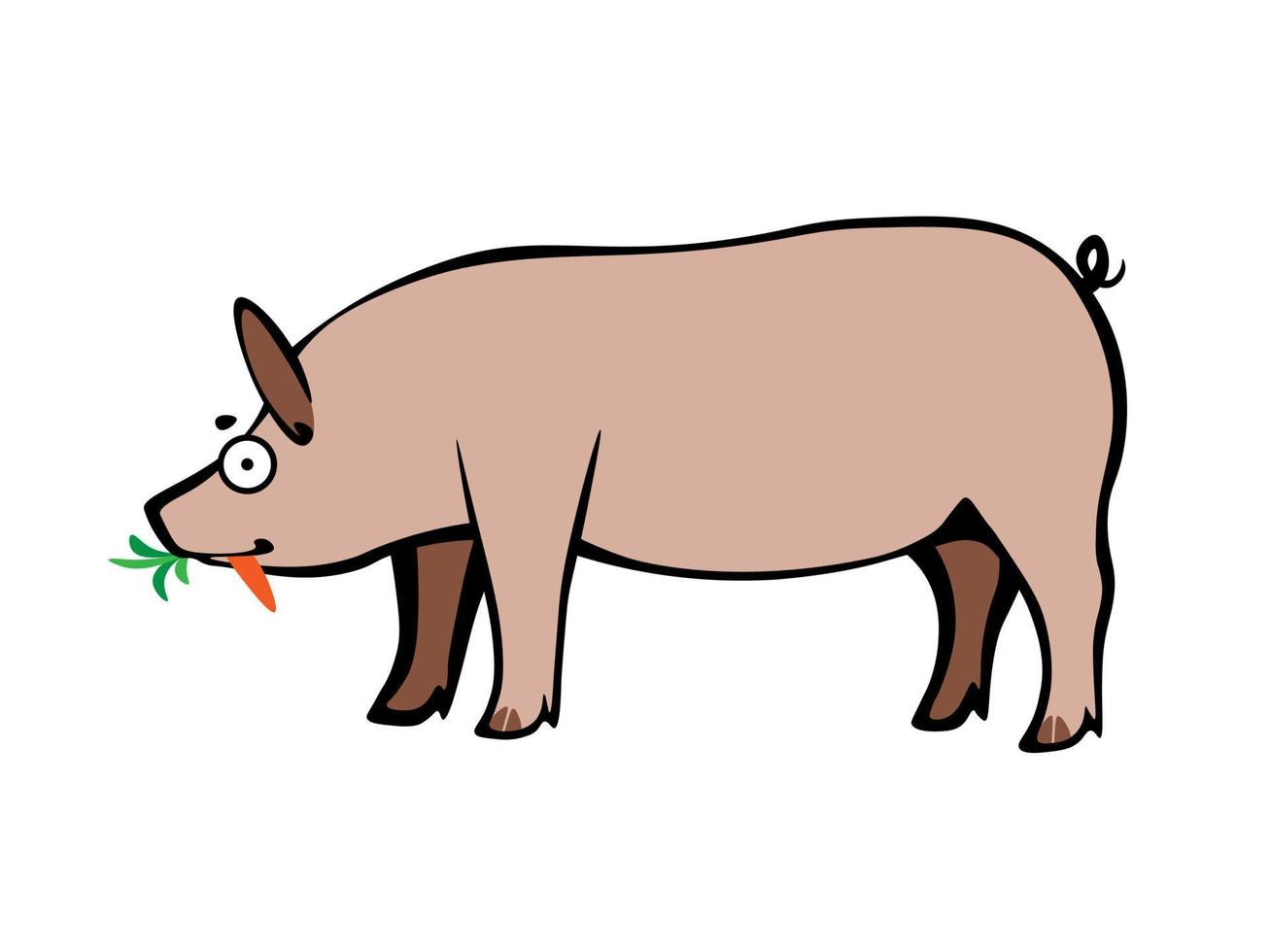 Funny cartoon careless domesticated pig eating fresh carrot vector