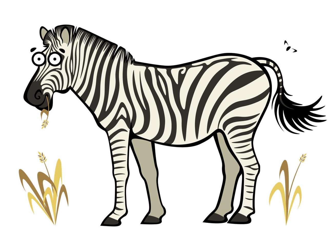 Cute cartoon carefree zebra chewing dry grass straw vector
