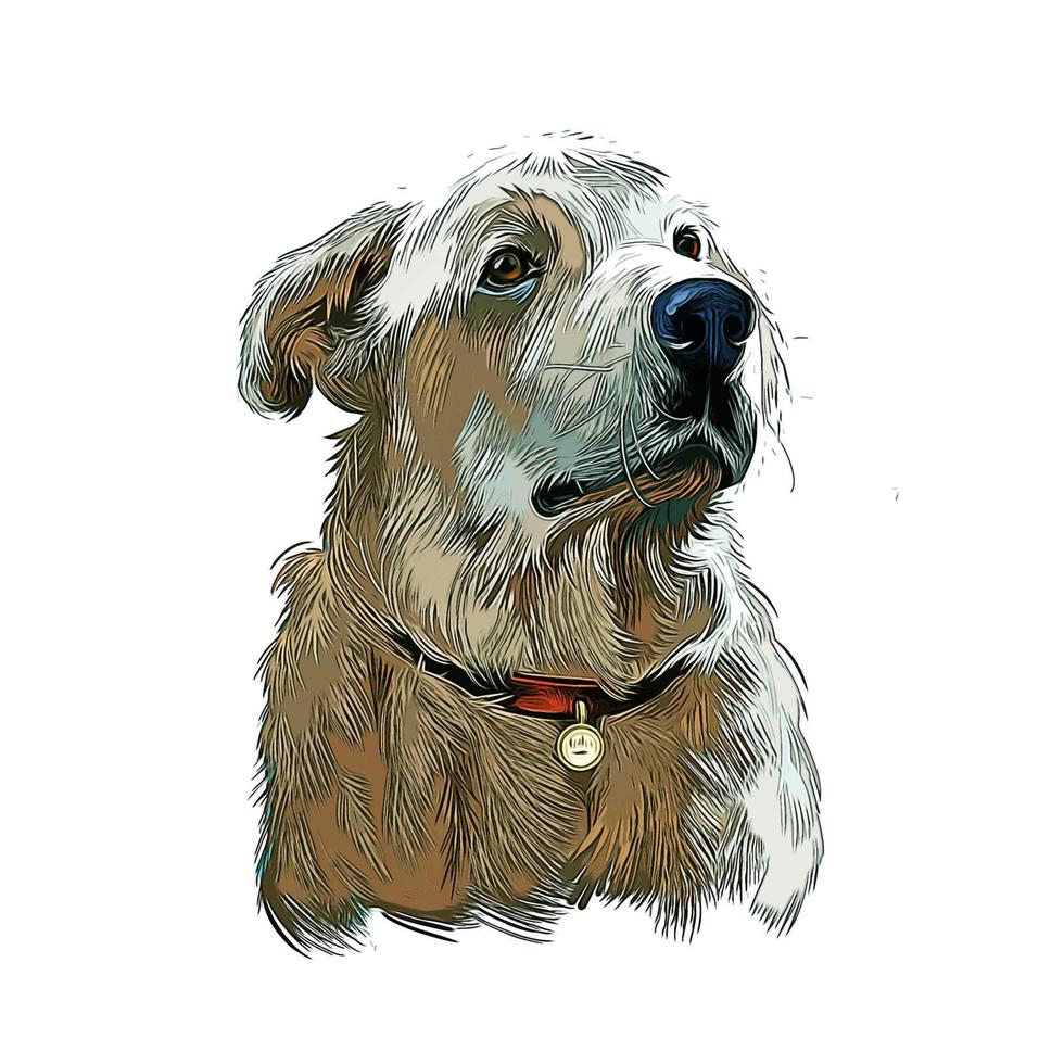 akbash perro acuarela dibujado a mano boceto pintura dibujo ilustración vector