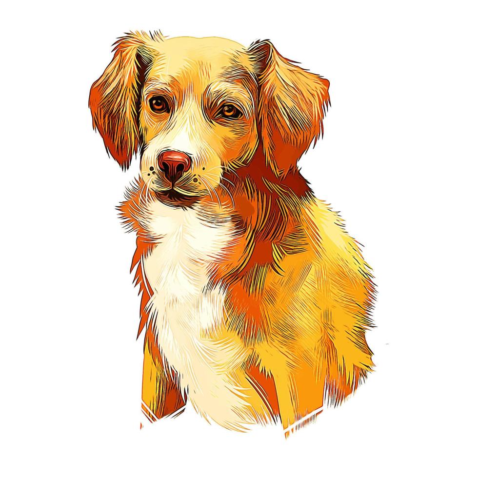 Alopekis Dog Watercolor Hand Drawn Sketch Paint Drawing Illustration vector