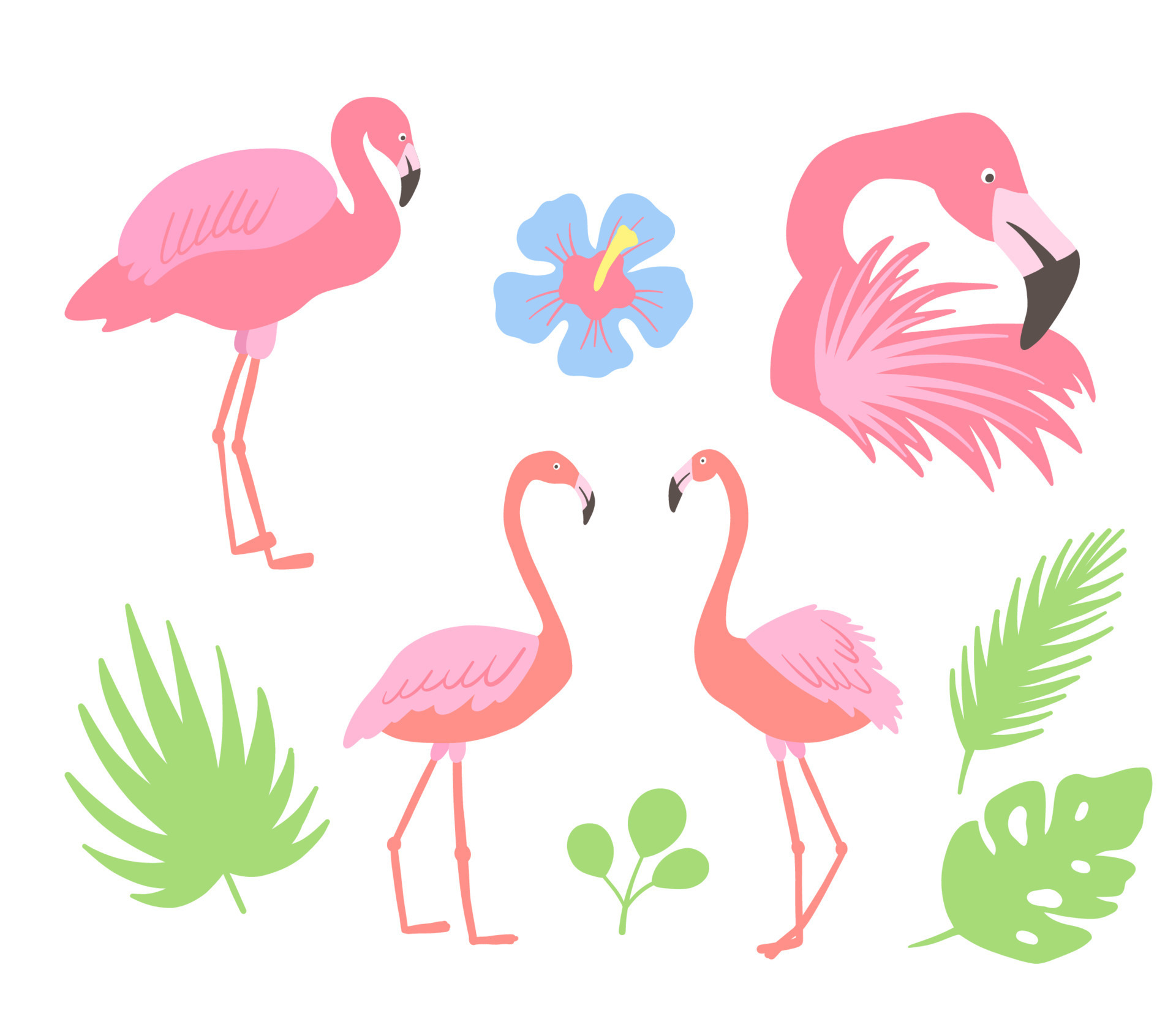 Flamingo pink bird. Hibiscus flowers and palm leaves. Tropical ...