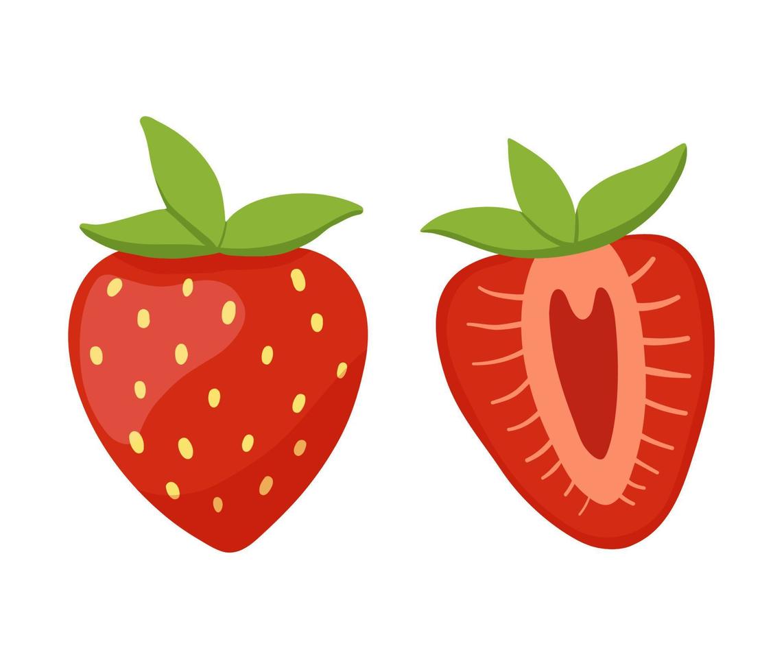 Red berry strawberry and a half of strawberry with green leaves isolated on white background. Vector illustration in flat style
