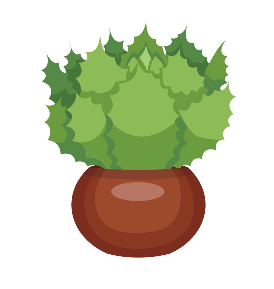 Echeveria cactus, succulent houseplant in a brown pot. Succulent. Cartoon. Vector illustration isolated on white background.