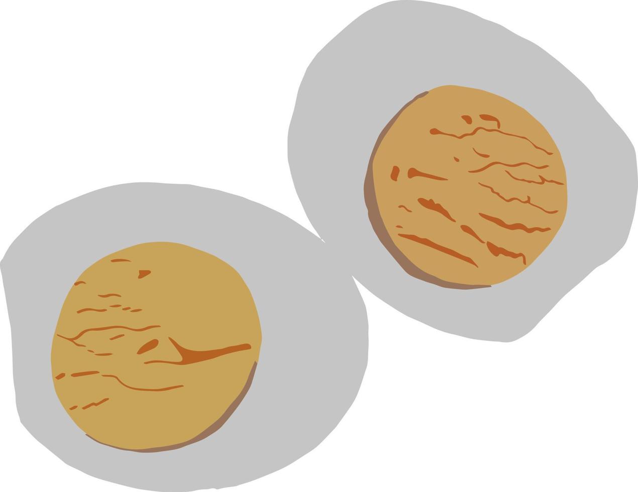 egg cut into two parts. Egg with yolk. Yolk. Illustration vector