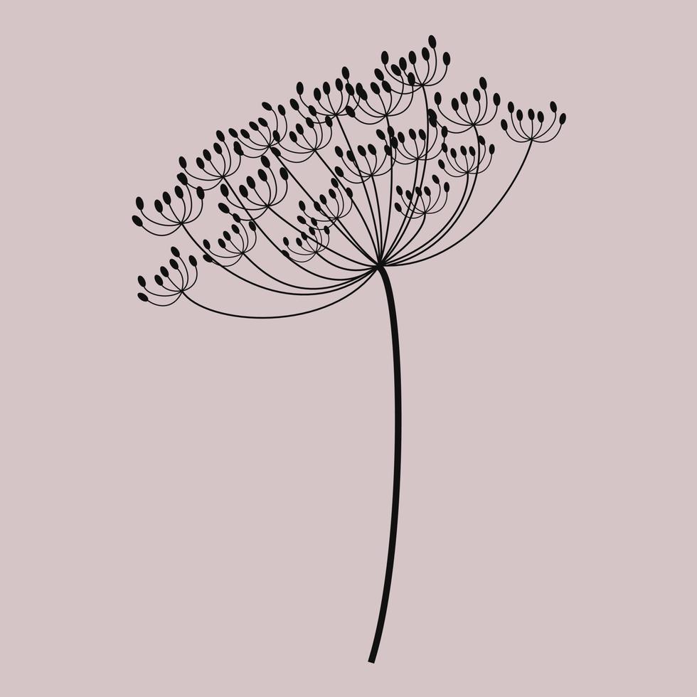 Black image of dill. Umbrella plants with seeds. Vector spice sprig.