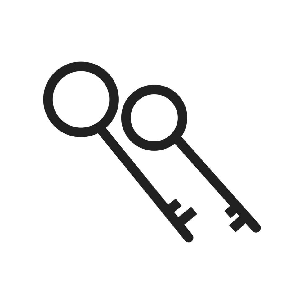 Two Keys Line Icon vector