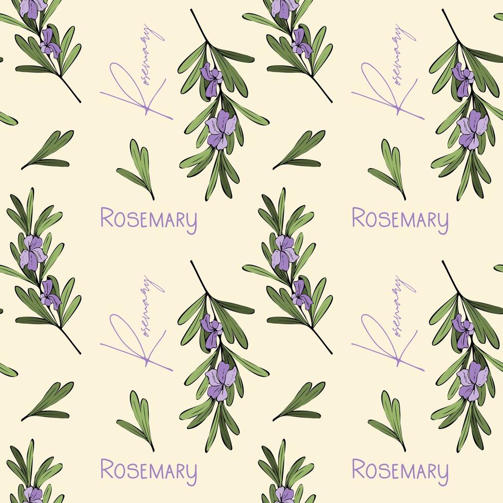 Rosemary Pattern flowers and lettering vector