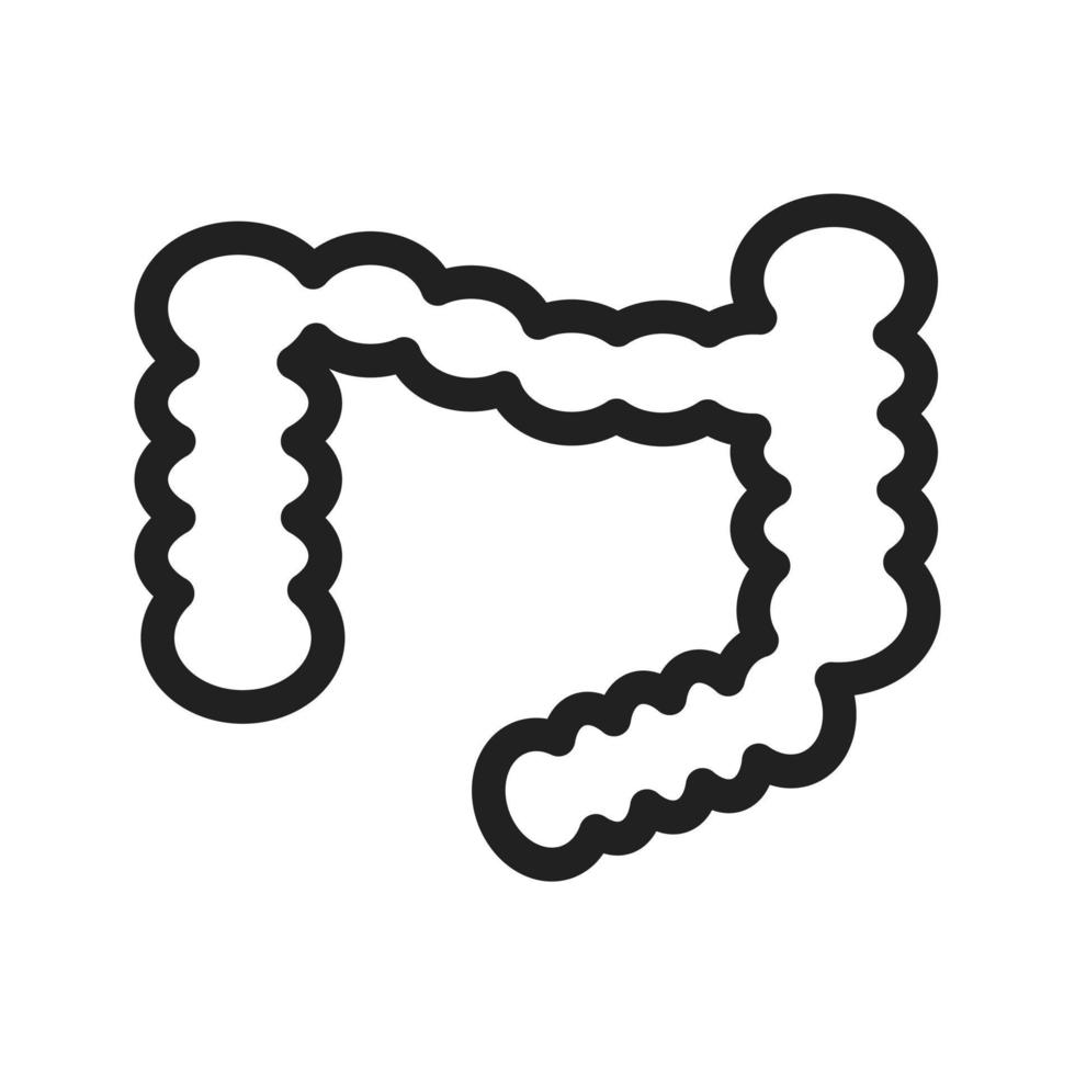 Intestines Line Icon vector