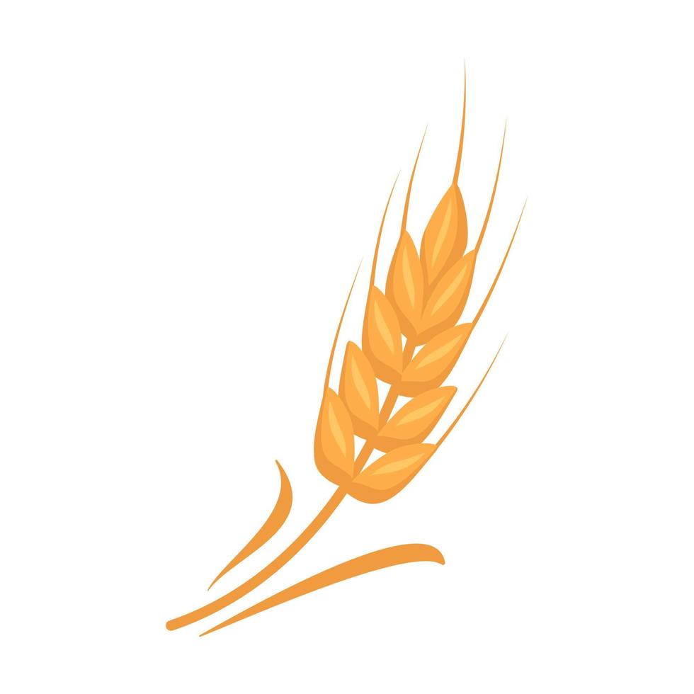 Golden ear of wheat, grains for making flour, baking bread and other food. Vector flat illustration