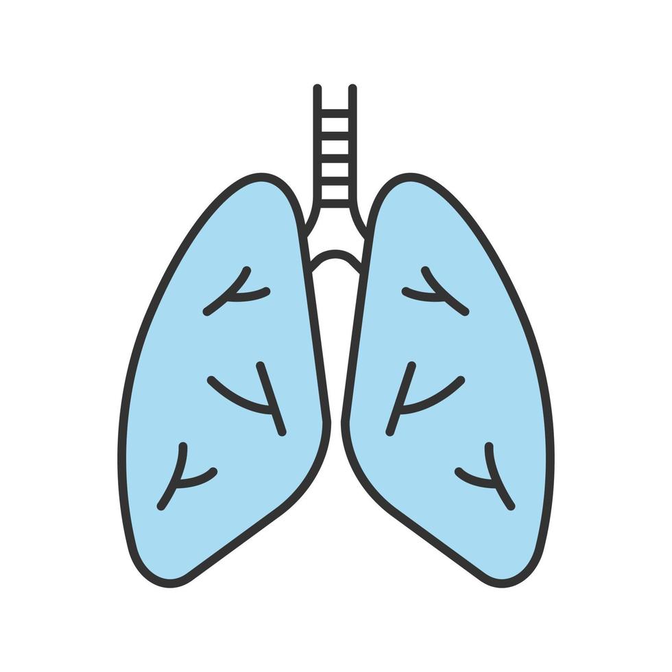 Human lungs color icon. Respiratory system anatomy. Isolated vector illustration