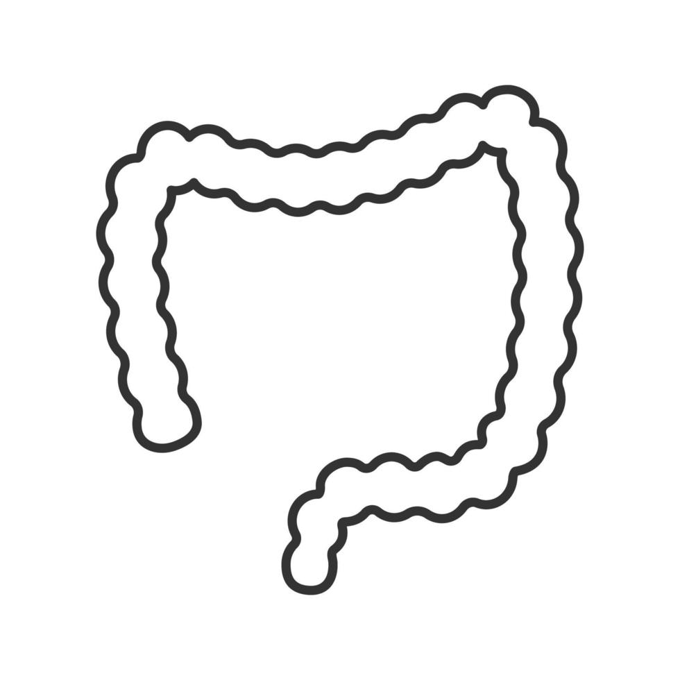 Large intestine linear icon. Thin line illustration. Large bowel. Gastrointestinal tract. Contour symbol. Vector isolated outline drawing