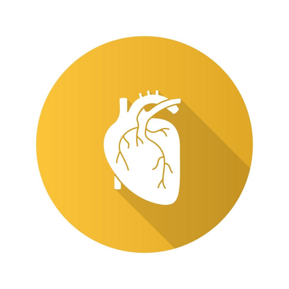 Human heart anatomy flat design long shadow glyph icon. Vector silhouette illustration