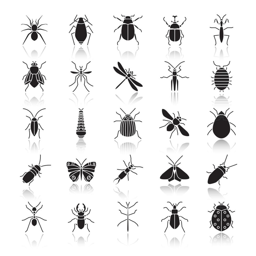 Insects drop shadow black glyph icons set. Bugs. Entomologist collection. Thin line contour symbols. Butterfly, earwig, stag bug, phasmid, moth, ant, mantis, spider. Isolated vector illustrations