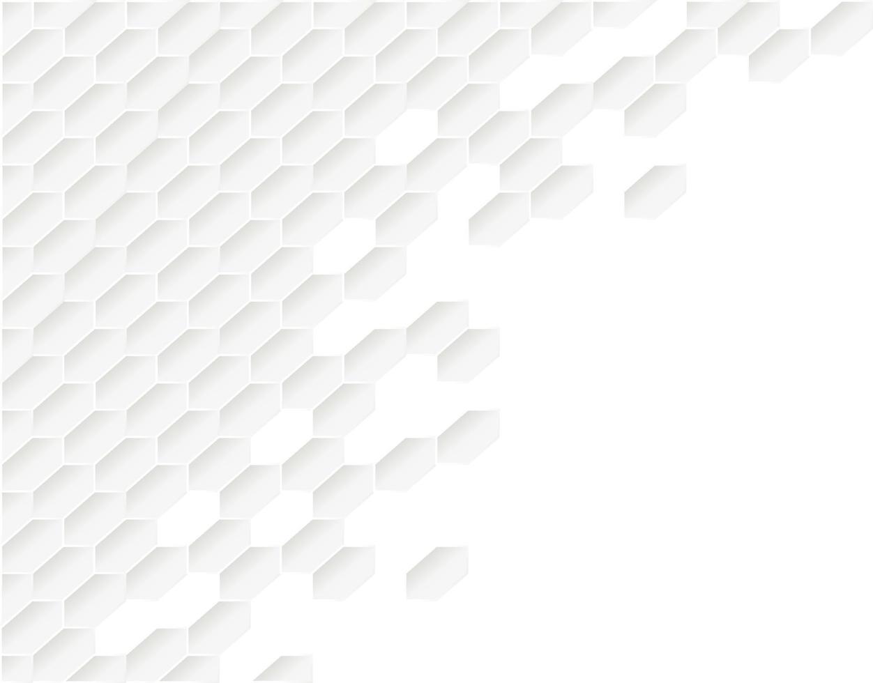 Honeycomb shape white Background have copy space, polygon white background, light and shadow on white paper background, Embossed Hexagon vector