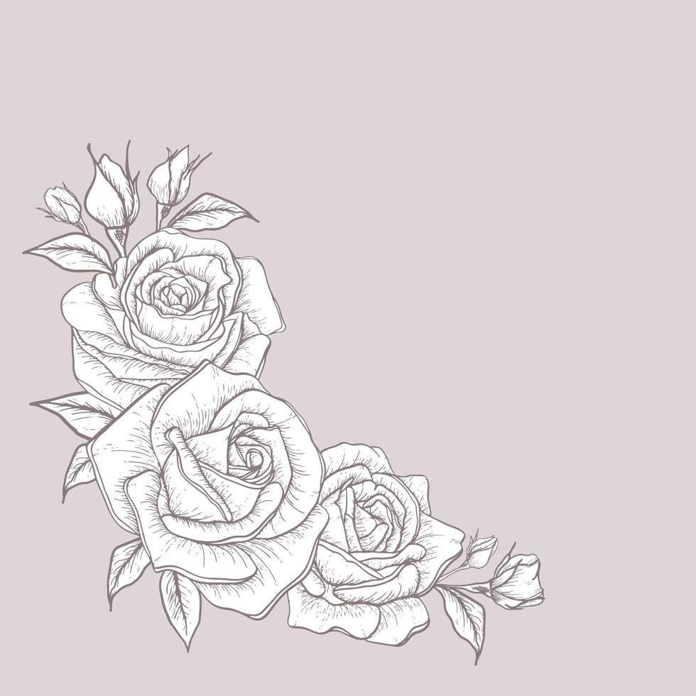 ramo de rosas y hojas en blanco y negro. rosa para invitación de boda, tarjeta de saludo, paquete, camiseta, etiqueta, cumpleaños, día de san valentín, día de la madre, vacaciones y otros. vector