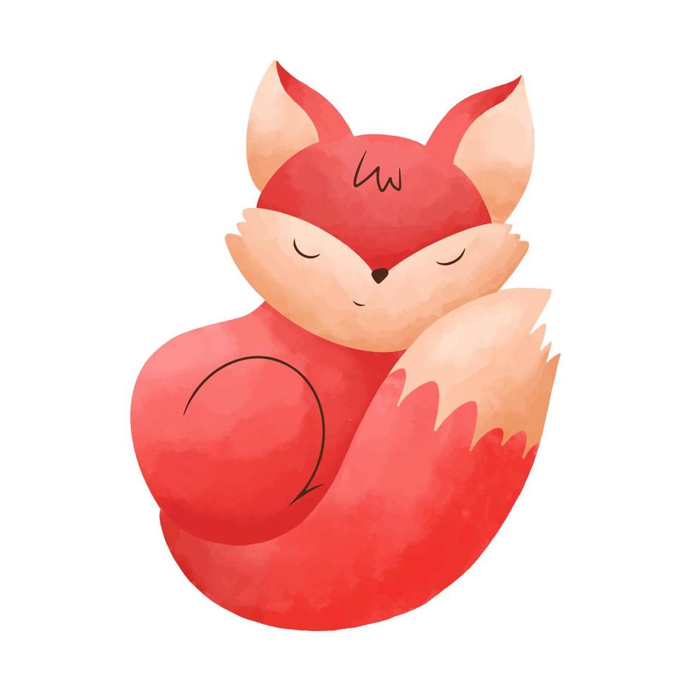 Cute little fox is sleeping curled up in a ball. Vector illustration in a watercolor style isolated on a white background.