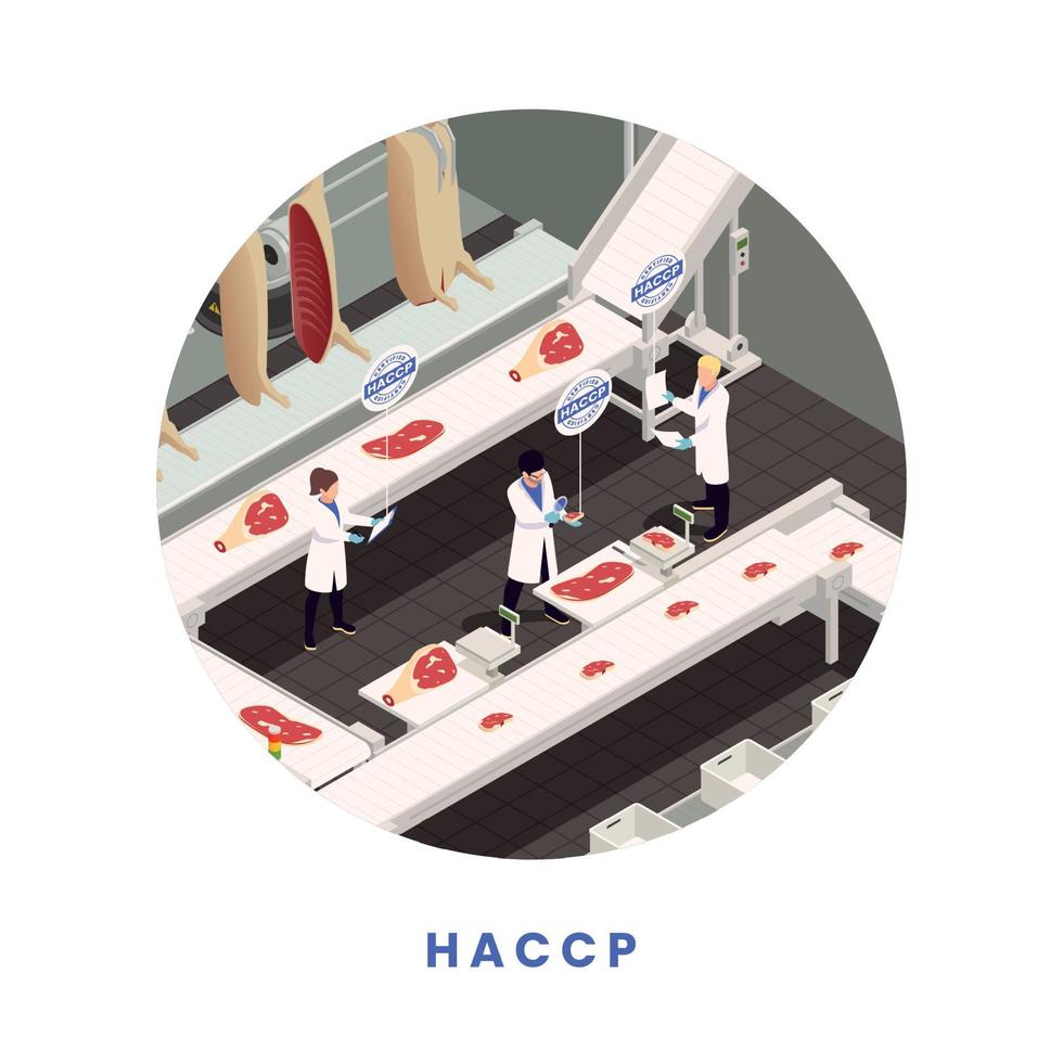 HACCP Food Safety Concept vector