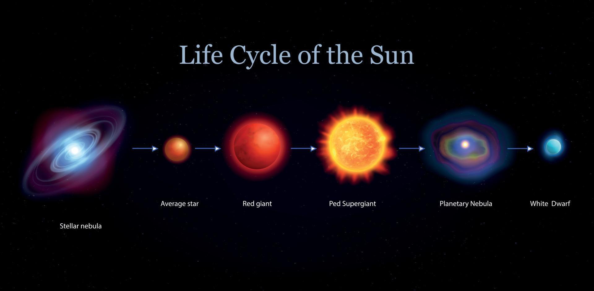 Sun Life Cycle Set vector