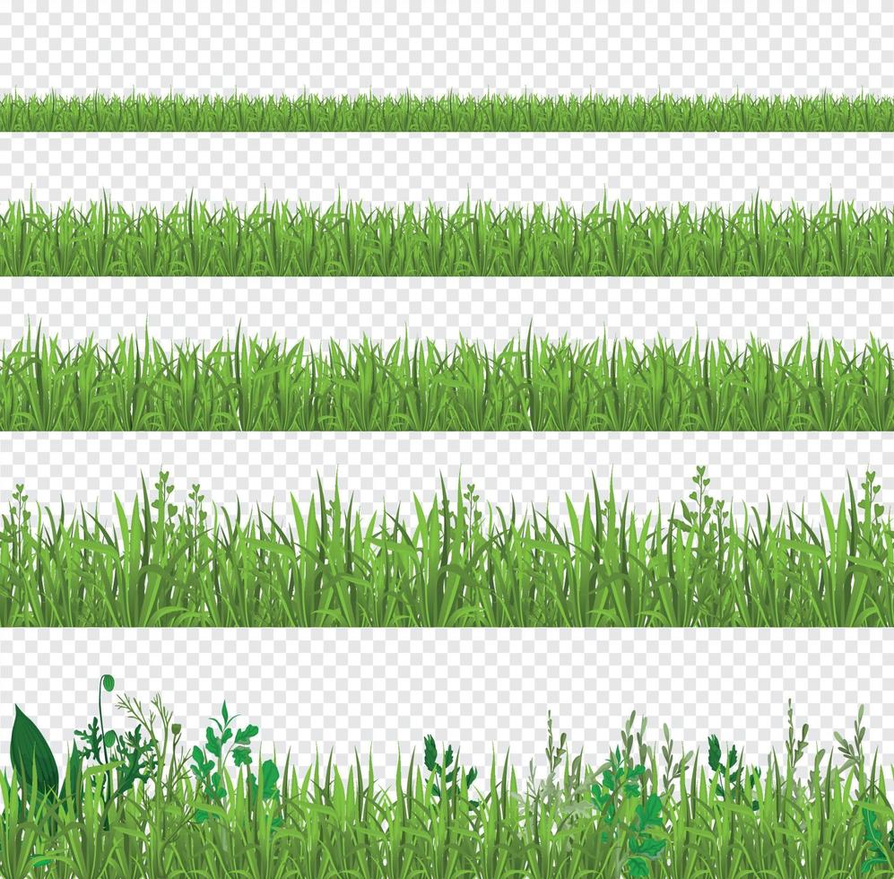 Grass Side Views Set vector
