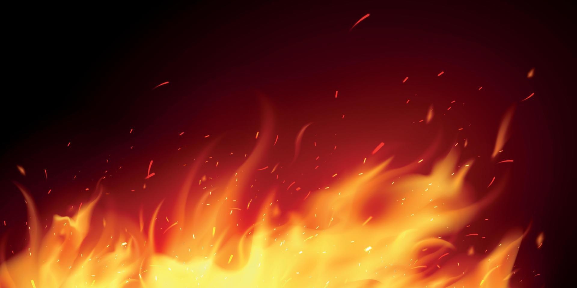 Realistic Fire Illustration vector