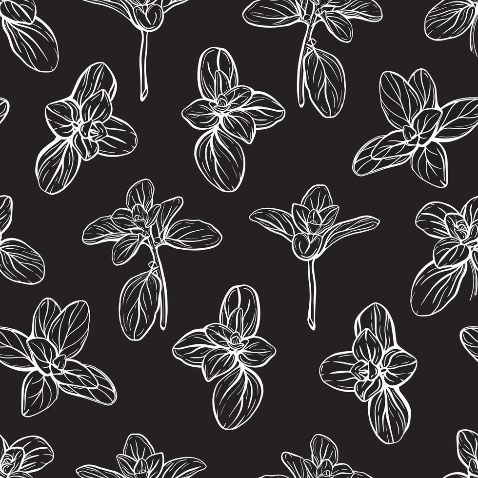 Basil Pattern. Italian herbs.A sprig of marjoram vector